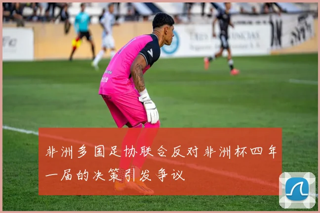 非洲多国足协联合反对非洲杯四年一届的决策引发争议